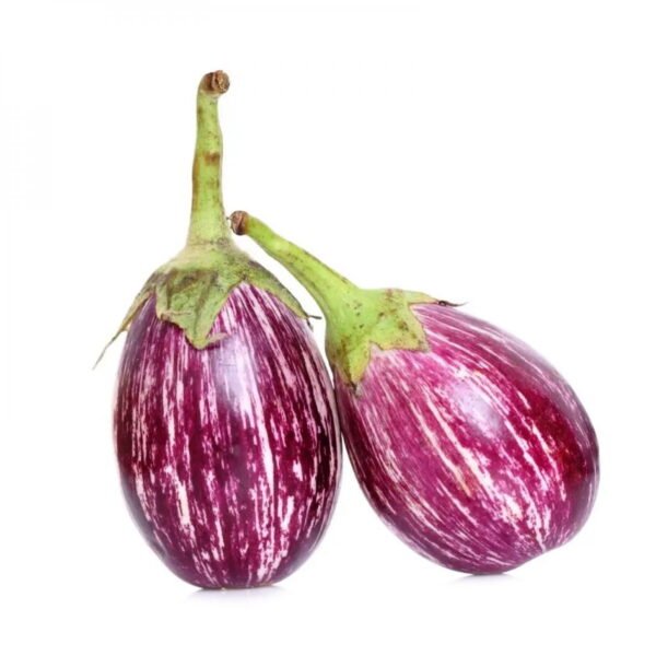 Striped Brinjal (Purple) Seeds – Premium Quality