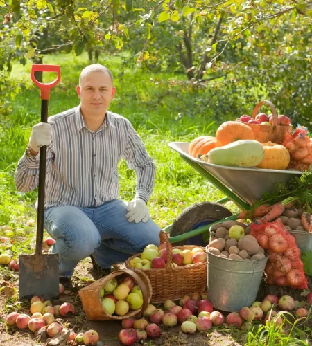 man-with-vegetables-harvest